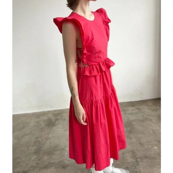 Allina Liu Says Gah! Camilla Dress - Picture 4 of 15